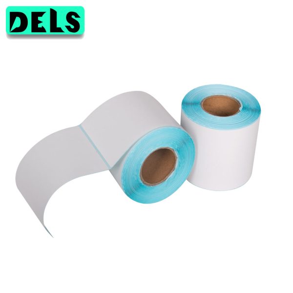 Термоэтикетки в рулоне Europrint EPLE-100.100.300.40 (2 рулона)